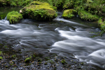 Die Kamnitz, wilder Fluss durch die Bömische Schweiz