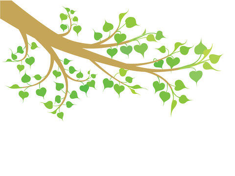 Buddhist Tree on illustration graphic vector