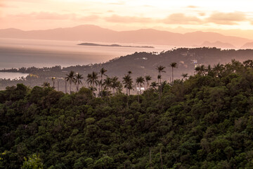 Background of mountains and nature surrounded, bright blue sky wallpaper. There are trees, green leaves, a beautiful ecology.