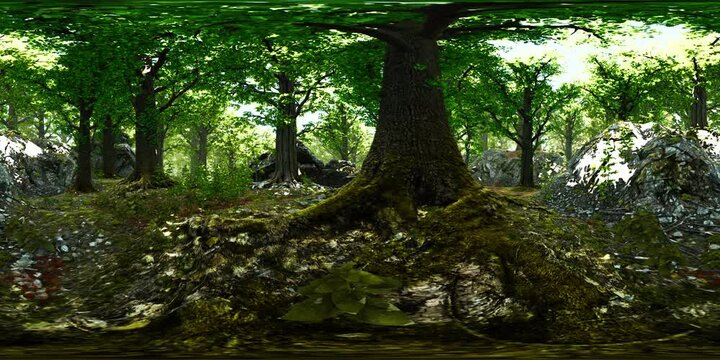 VR360 primeval forest with mossed ground