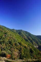 Fototapeta na wymiar 川上村　秋色増す山々