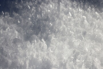 The snow of Val Saisera covered with ice crystals, Italy