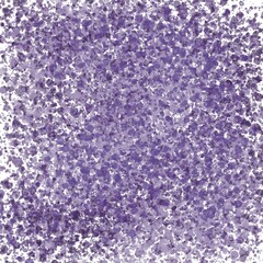purple background
