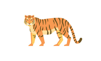 Tiger (Panthera tigris) side angle view. Asian wild animal with dark vertical stripes on orange fur, flat style vector illustration isolated on white background