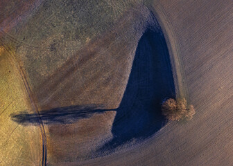 Vue d'un arbre de dessus avec les ombres qui dessine le paysage.