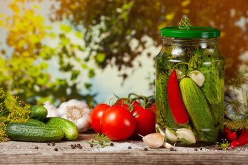 Pickled cucumbers in glass jars and spices and vegetables for preparation of pickles on background of green trees.