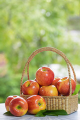 Fresh Red apple in basket over blurred greenery background, US. Red Envy apple in wooden basket on...