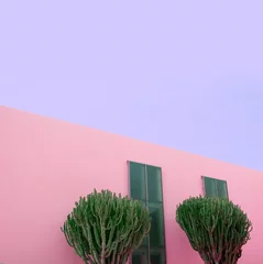 Afwasbaar Fotobehang Canarische Eilanden Cactus on pink wall tropical location. Aesthetic plant. Canary island