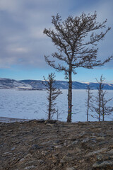 ice of Baikal, blue ice of Baikal with methane bubbles, transparent ice of Baikal