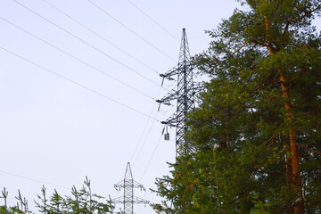 Metal support for high voltage power lines in a pine forest. Power lines, power supply concept.