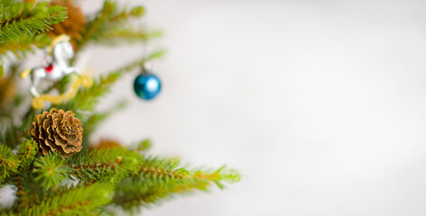 Christmas tree branch with cones with copyspace