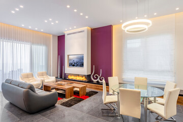 Luxury Modern Living Room With Leather Furniture