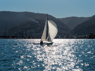 Fototapeta premium sailing schooners model 470 in the gulf of la spezia