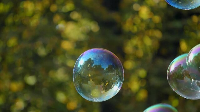Slow-motion shot of colorful soap bubbles shining in the sun with autumn park background