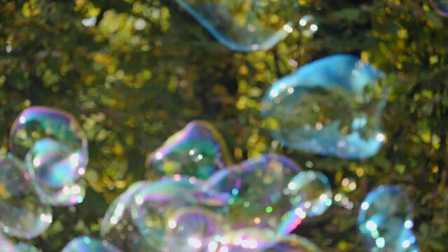 Slow-motion shot of colorful soap bubbles shining in the sun with autumn park trees in behind