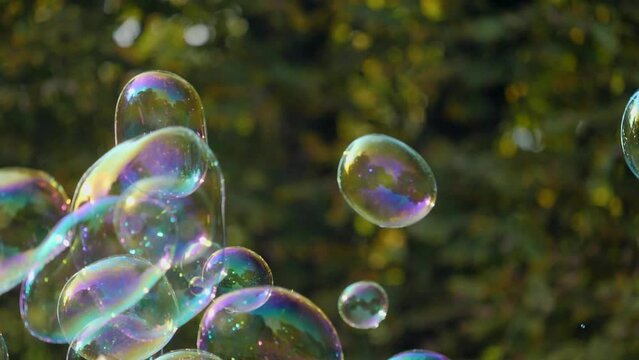 Slow-motion shot of shining soap bubbles with autumnal background