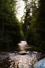 Fototapeta na wymiar Mountain river in the woods