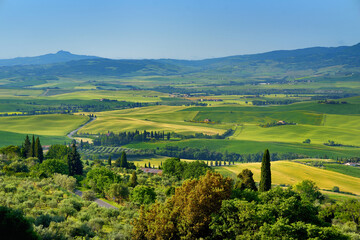 Obraz premium Stunning view of green fields and farmlands with small villages on the horizon. Rural landscape of rolling hills, curved roads and cypresses of Tuscany, Italy.