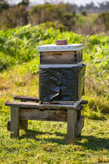A bee wooden hive stands in a meadow.