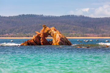 Fototapete bei efototapeten.de bestellen   