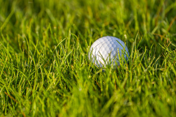 Close-up of a golf ball lying in green grass.