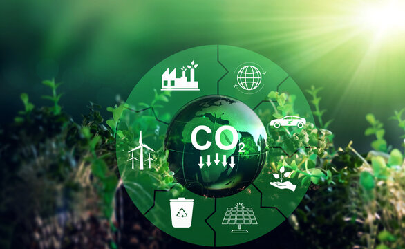 Sustainable development and  business based on renewable energy. Reduce CO2 emission concept. Renewable energy-based green businesses can limit climate change and global warming. 