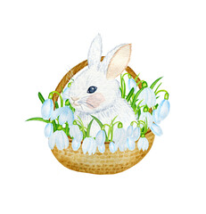 Cute white bunny in a basket with white snowdrops watercolor illustration. Hand drawn card for Easter and spring holidays. Print on children's textiles. Invitation and congratulations.