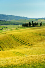 Fototapeta na wymiar Stunning view of fields and farmlands with small villages on the horizon. Summer rural landscape of rolling hills, curved roads and cypresses of Tuscany, Italy.
