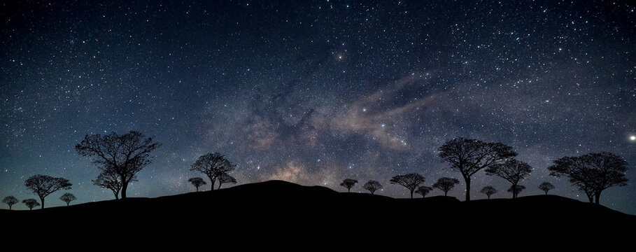 Panorama Dark tree on mountains dramatic blue night sky.Milky way with stars,silhouette tree in africa.Typical african night with acacia trees in Masai Mara,Kenya.