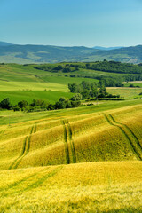 Stunning view of fields and farmlands with small villages on the horizon. Summer rural landscape of...