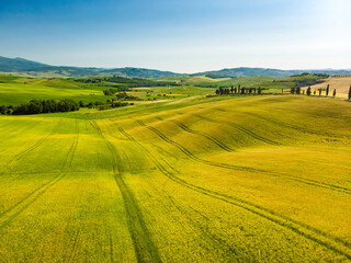 Fototapeta na wymiar Stunning aerial view of yellow fields and farmlands with small villages on the horizon. Rural landscape of rolling hills, curved roads and cypresses of Tuscany, Italy.