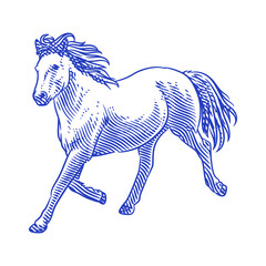 Horse line art vector illustration