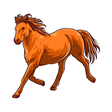 Horse vector illustration with colorful
