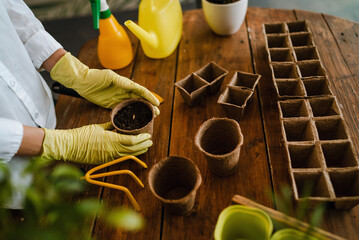 Hands holding seed planting vegetables in the ground