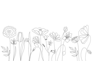 Silhouettes of wild flowers from simple lines on a white background. Design for logo, flyer, brand book
