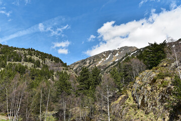 Fototapeta na wymiar Andorra - Ordino - Parc Natural de la Vall de Sorteny