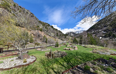 Fototapeta na wymiar Andorra - Ordino - Parc Natural de la Vall de Sorteny - Botanischer Garten