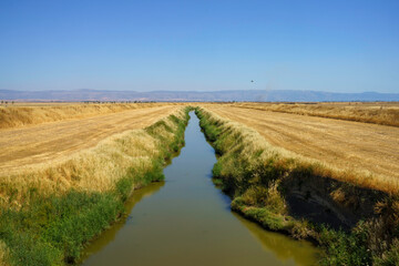 Country landscape near Siponto, Apulia, Italy