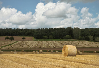 Spätsommer nach der Ernte