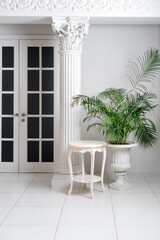 Luxury white classic interior with columns and palms.