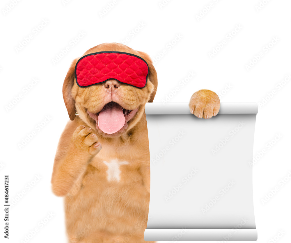 Poster yawning mastiff puppy wearing mask for sleep shows empty list. isolated on white background