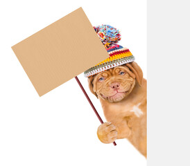 Smiling puppy wearing a warm winter hat holding blank banner mock up on wood stick and looks above empty white board. isolated on white background