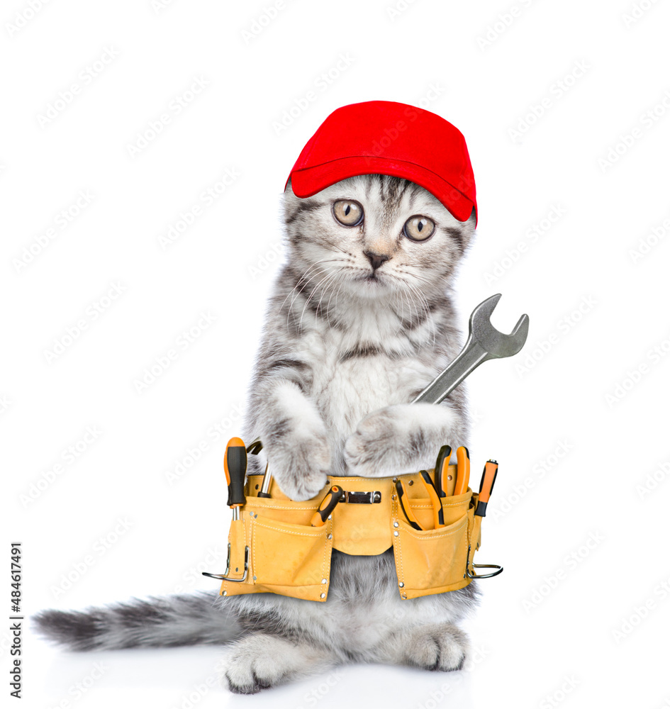Poster funny cat worker with toolbelt and wrench. isolated on white background