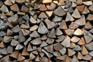 Brennholz // Firewood