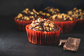 Homemade chocolate muffins or cupcakes sprinkled of nuts on dark background