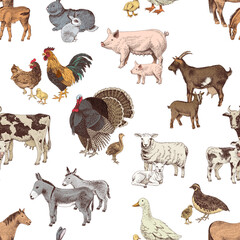 Seamless pattern with cute hand drawn farm animals