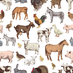 Seamless pattern with cute hand drawn farm animals