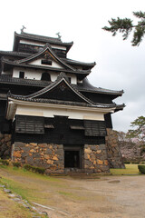 Obraz premium castle in matsue (japan)