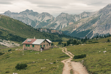 Fototapeta na wymiar Mountainous landscape in Switzerland with cows and horses