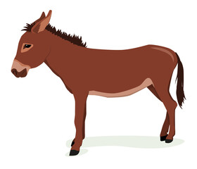 vector illustration of a brown donkey isolated on a white background